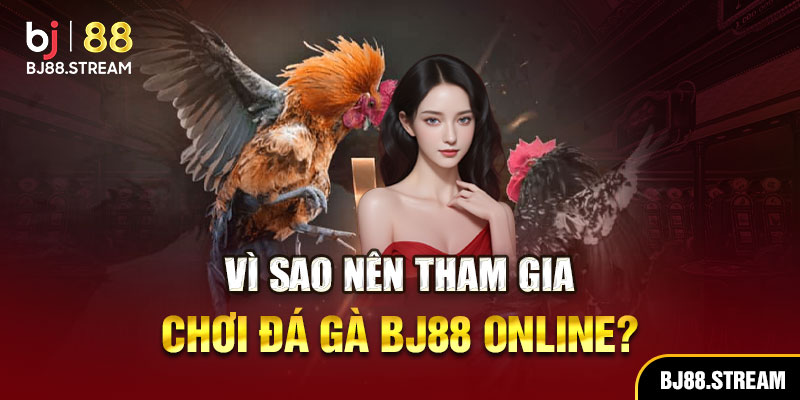 Vì sao nên tham gia chơi đá gà BJ88 online?