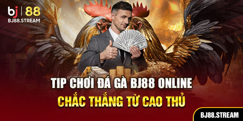Tip chơi đá gà BJ88 online chắc thắng từ cao thủ