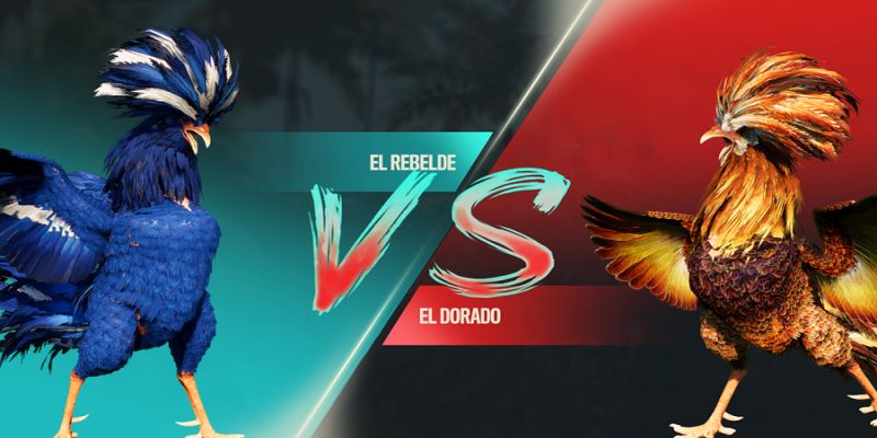 Cách tham gia đá gà SV388 online tại BJ88